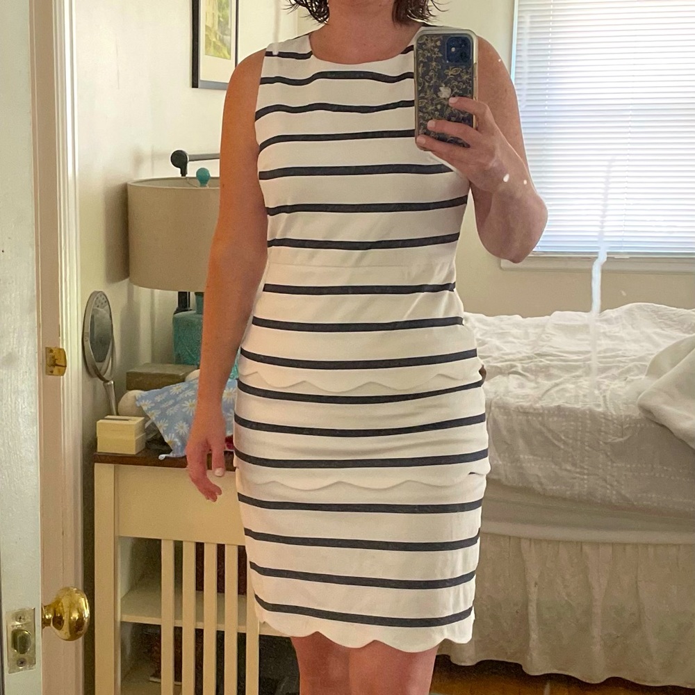 J.McLaughlin sheath dress size 6